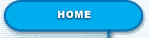 home button1